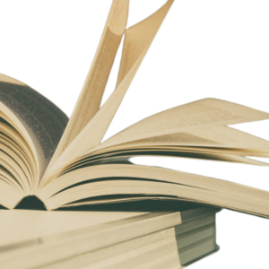 Work – Cal Newport