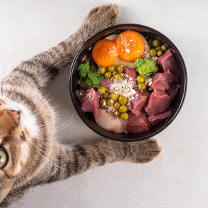 Cat Hairball Control Wet Food – Chicken & Liver (12×85g)